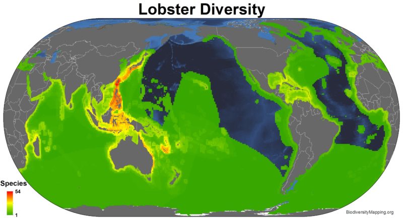 Mapping The Diversity Of The World S Lobsters