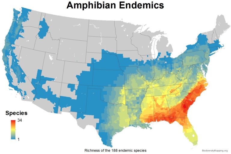 Mapping the Diversity of Amphibians in the USA