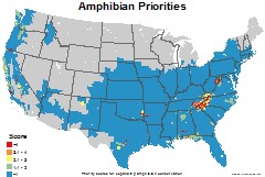 amphibians_usa_priorities_thumb