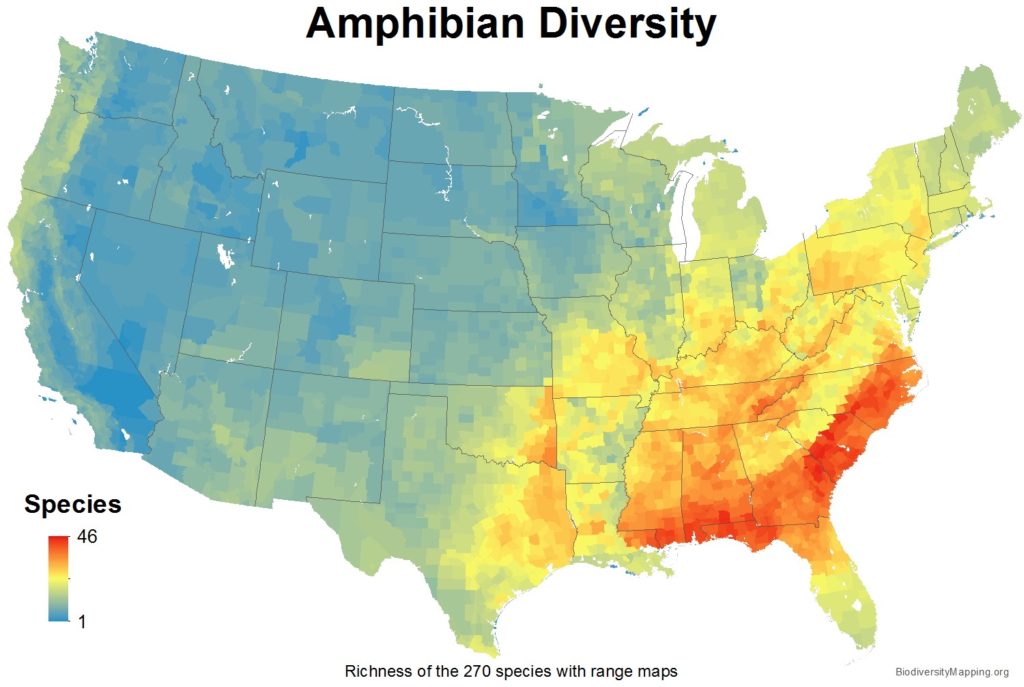 Mapping the Diversity of Amphibians in the USA