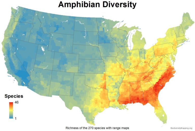 Mapping the Diversity of Amphibians in the USA