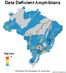 brazil_amphibians_data_deficient_thumb