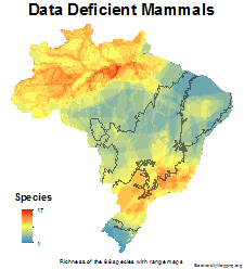 brazil_mammals_data_deficient_thumb