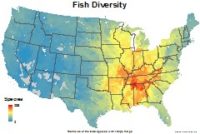 Mapping the Diversity of Fish in the USA