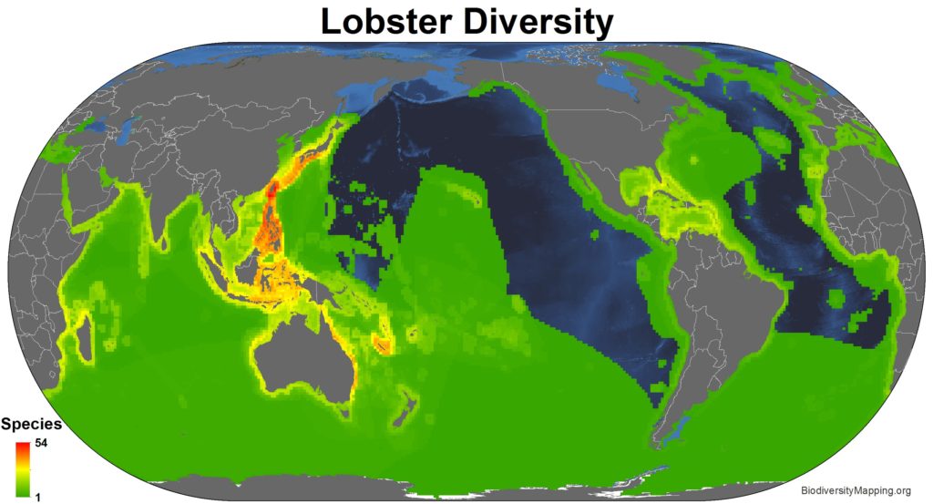 Mapping the Diversity of the World's Lobsters