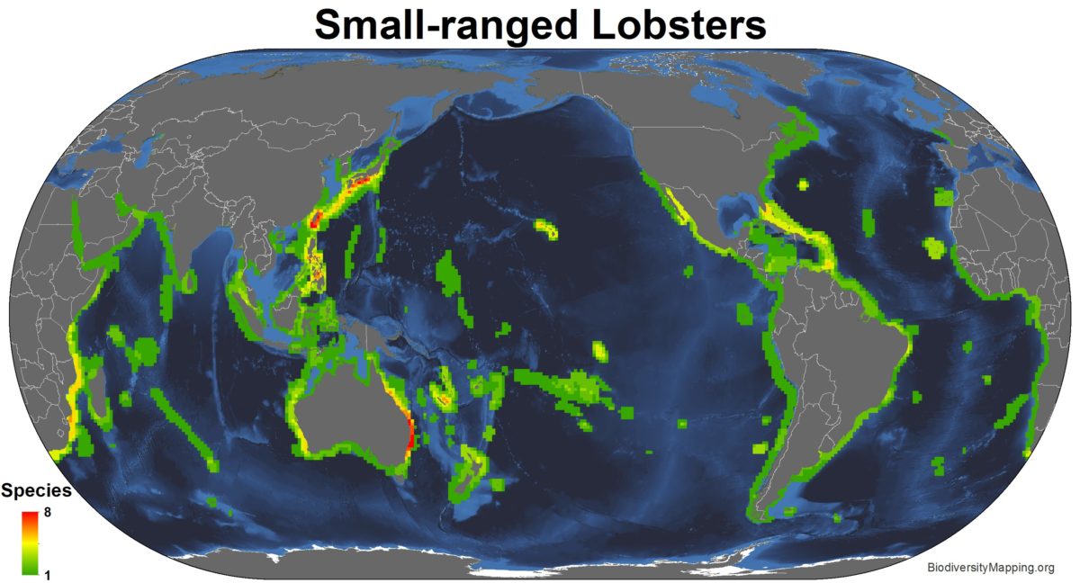 Mapping the Diversity of the World's Lobsters