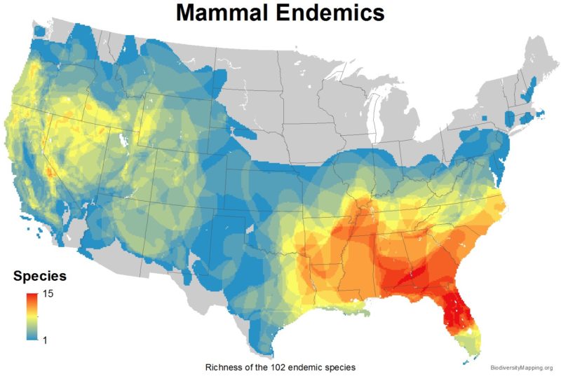 Mapping the Diversity of Mammals in the USA