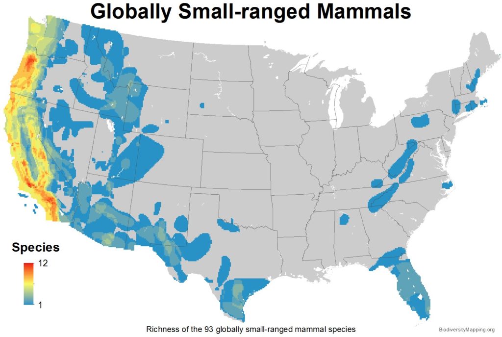 Mapping the Diversity of Mammals in the USA