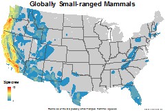 mammals_usa_globally_small_thumb