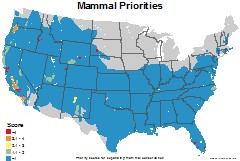 mammals_usa_priorities_thumb