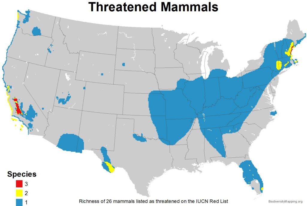 Mapping the Diversity of Mammals in the USA