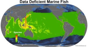 marine_fish_data_deficient