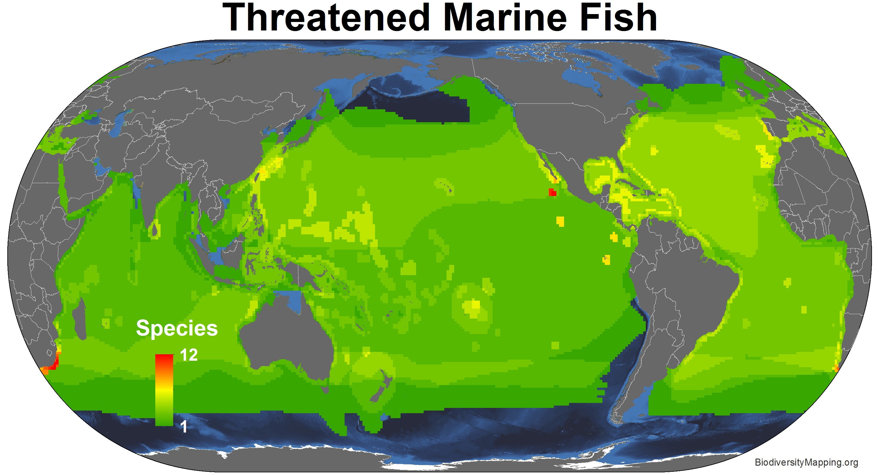 marine_fish_threatened