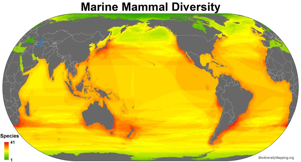 Mapping the Diversity of the World's Marine Mammals