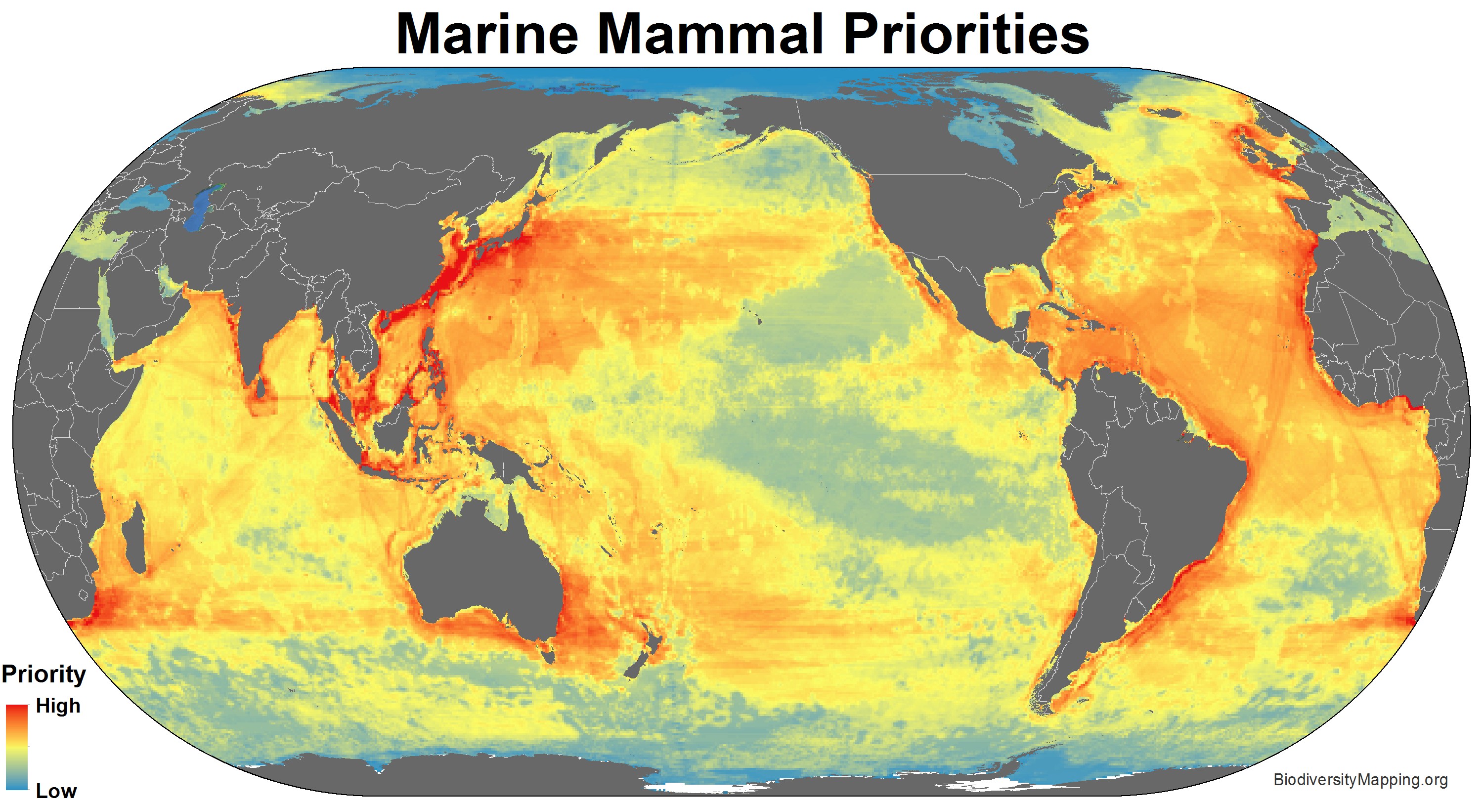 marine_mammals_priorities