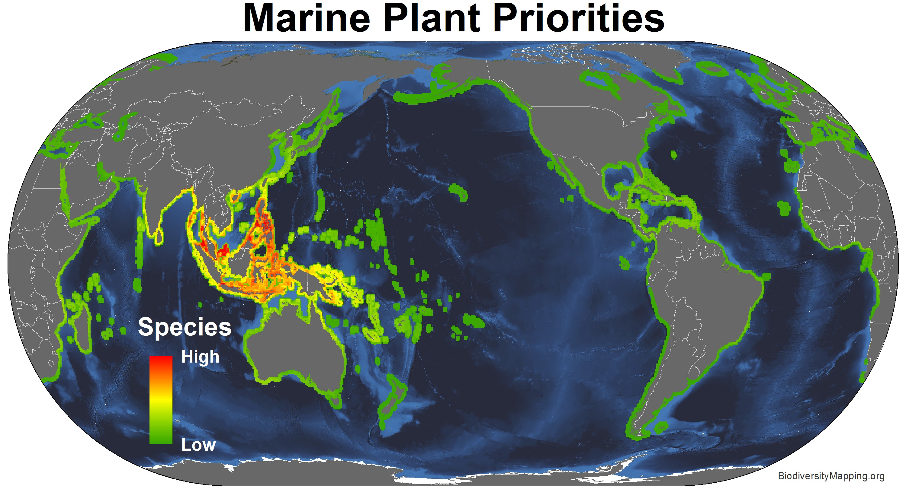 marine_plants_priorities