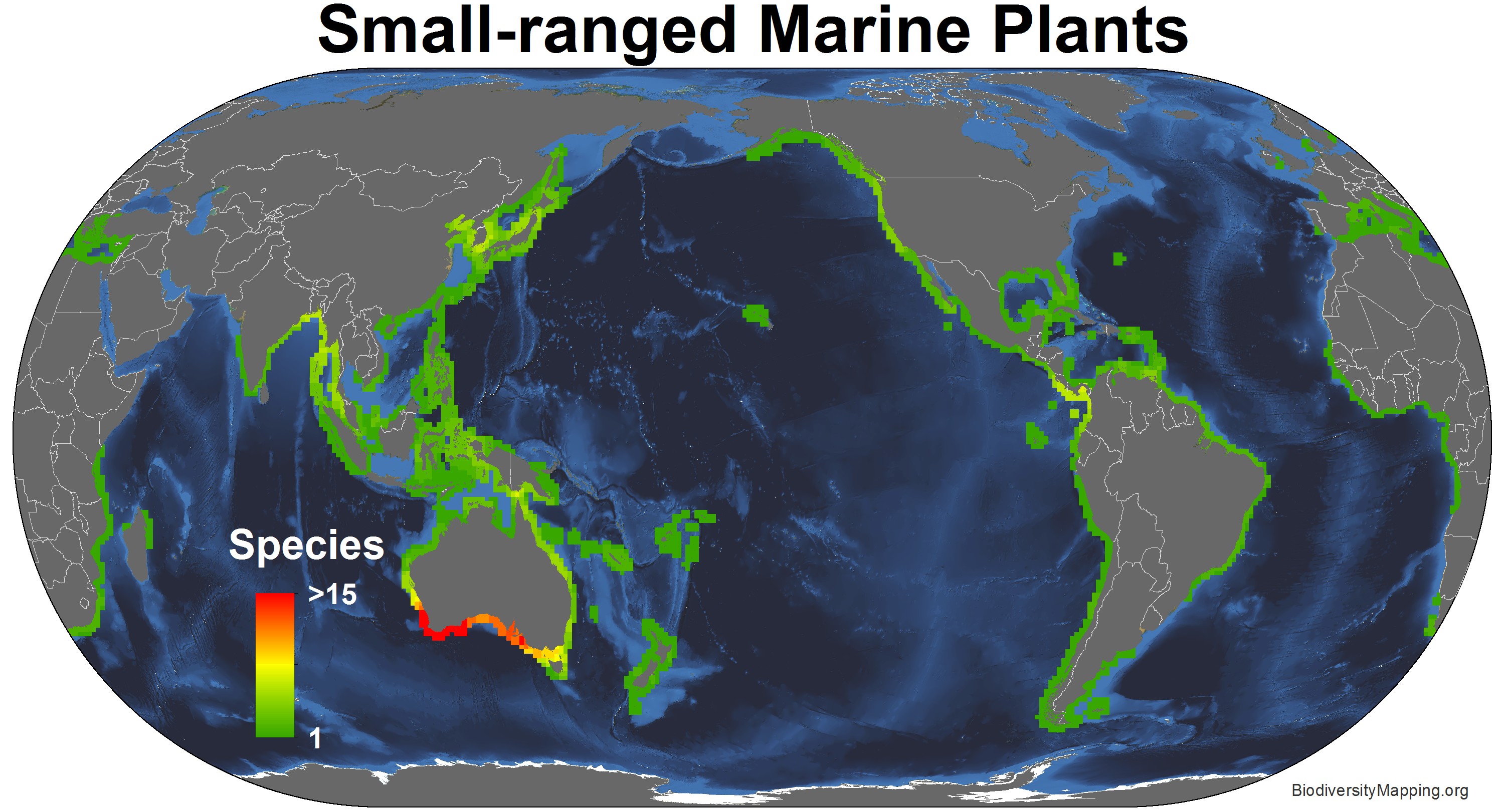 marine_plants_small_ranged2