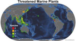 marine_plants_threatened