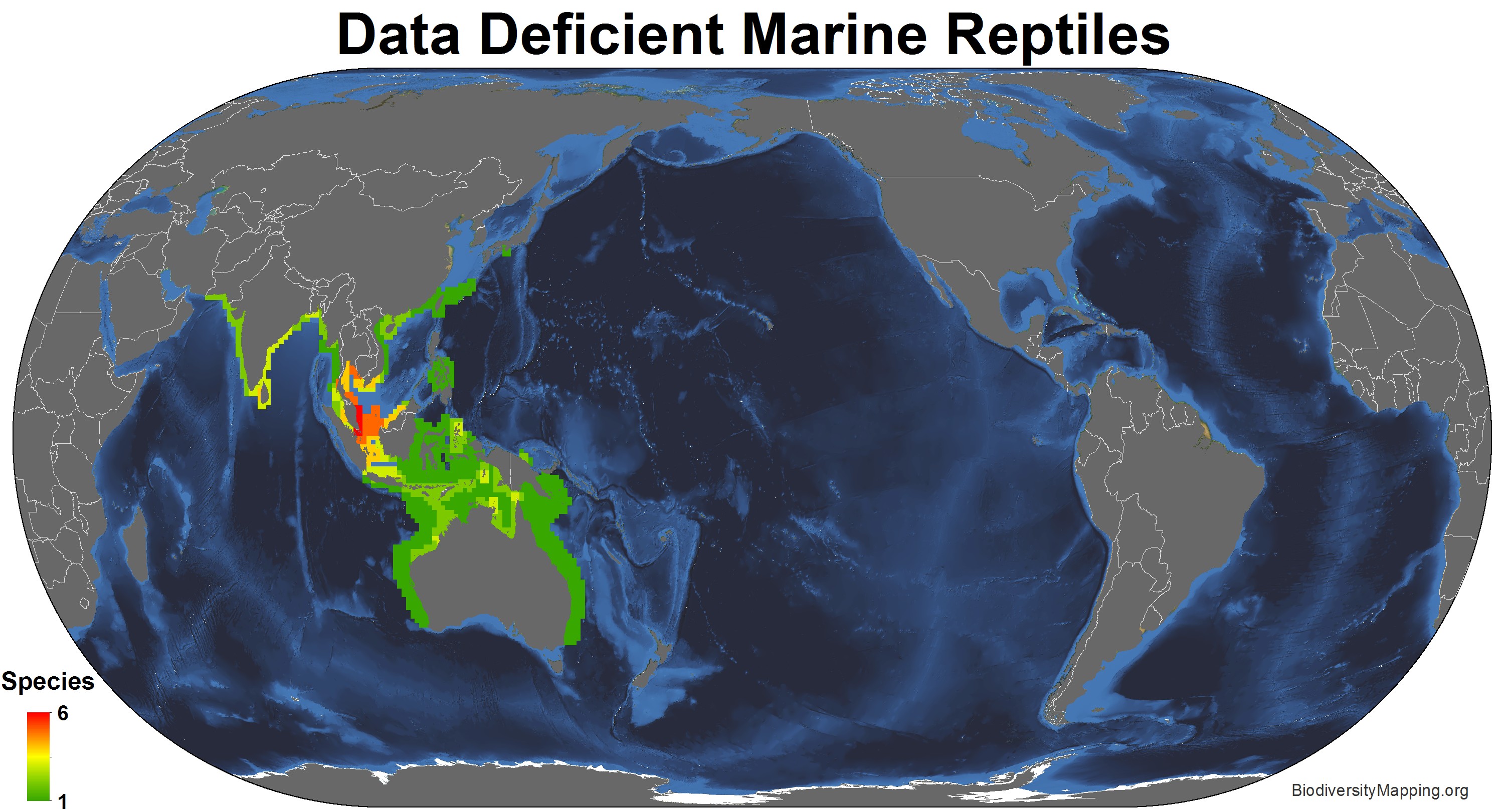 marine_reptiles_data_deficient