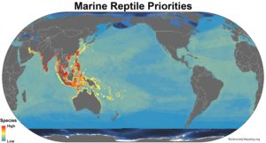 marine_reptiles_priorities