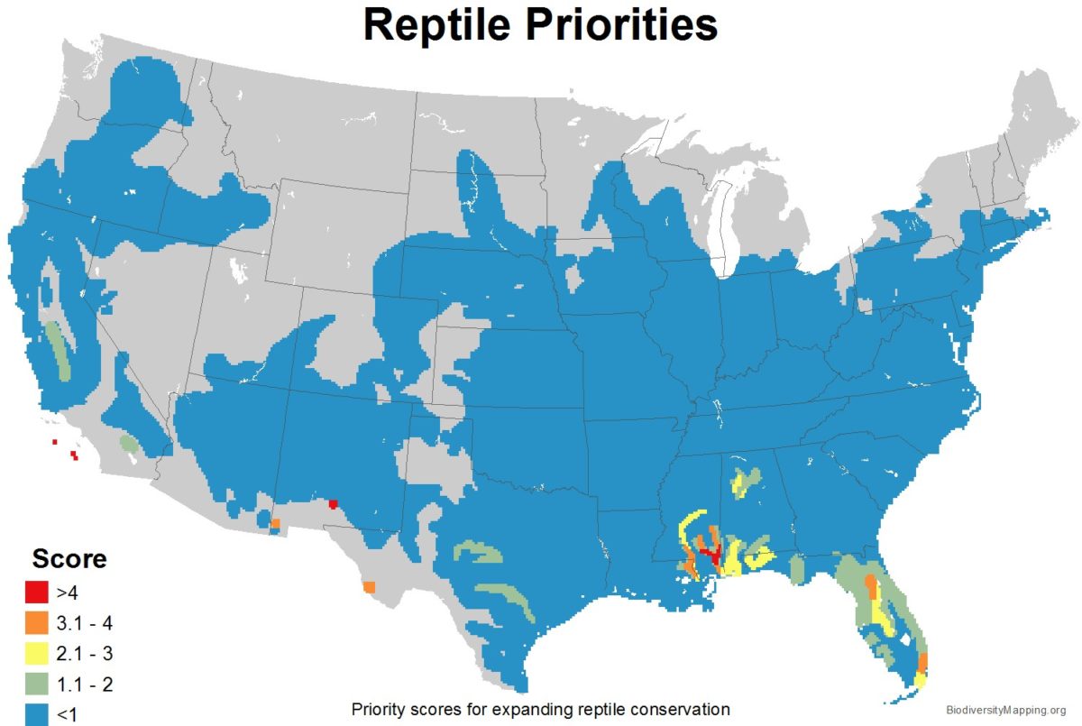 Mapping the Diversity of Reptiles in the USA