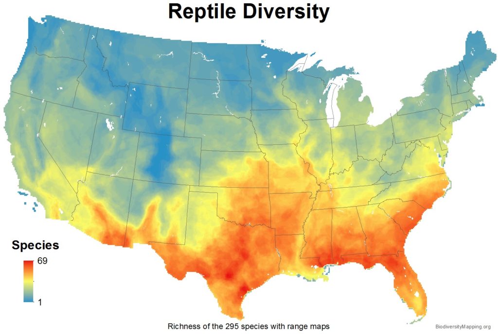 Mapping the Diversity of Reptiles in the USA