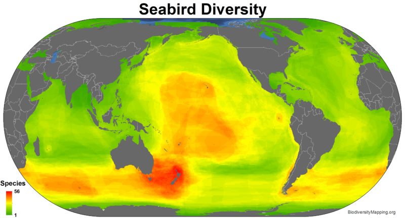 Mapping the Diversity of the World's Seabirds