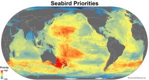 seabirds_priorities