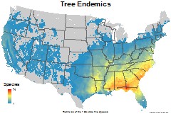 trees_usa_endemics_thumb