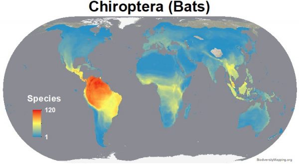 Mapping the World's Mammal Diversity