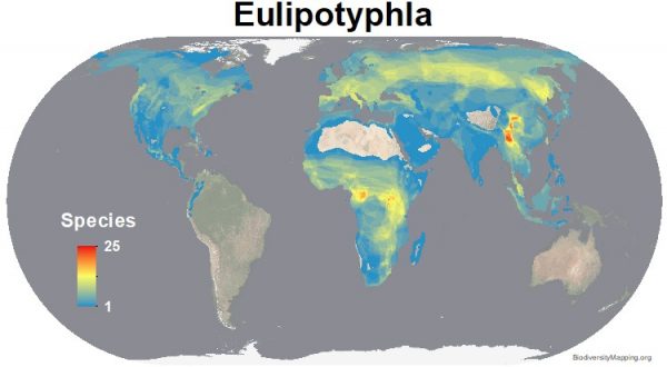 Mapping the World's Mammal Diversity