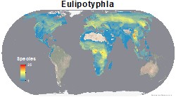 mammals_eulipotyphla_thumb