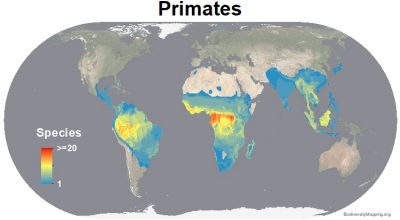 Mapping The World's Mammal Diversity