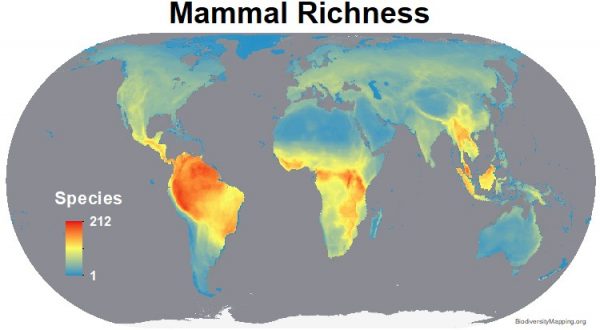 Mapping The World's Mammal Diversity