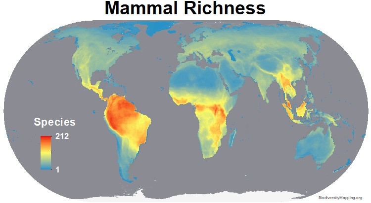Mapping The World s Mammal Diversity