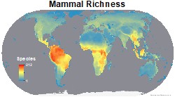 mammalsdiversitythumb2
