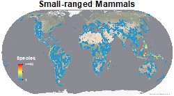 mammalssmall_rangedthumb2
