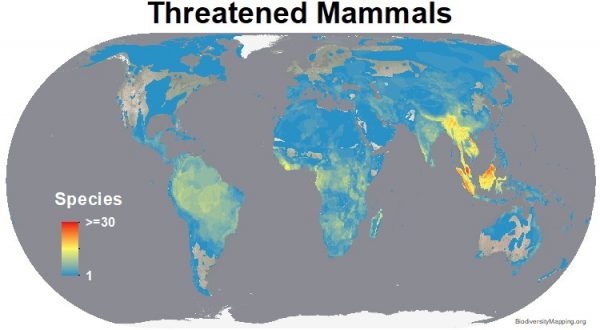 Mapping the World's Mammal Diversity