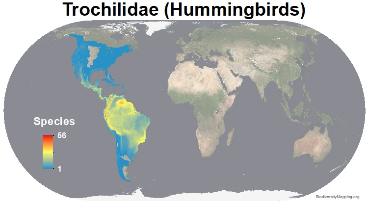 Mapping the World's Bird Diversity