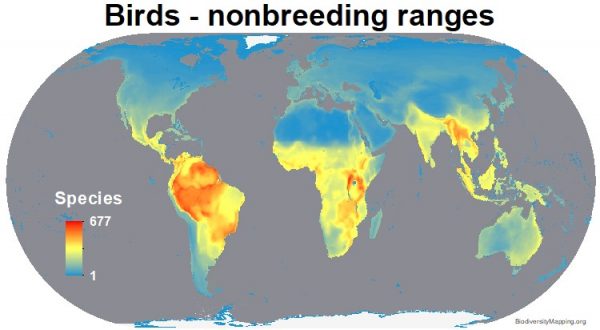 Mapping The World's Bird Diversity