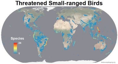 Mapping The World's Bird Diversity